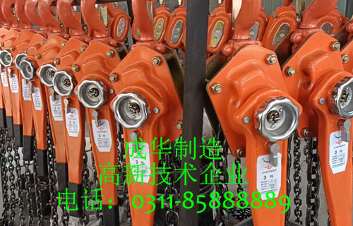 深圳設(shè)備搬運(yùn)用手扳葫蘆